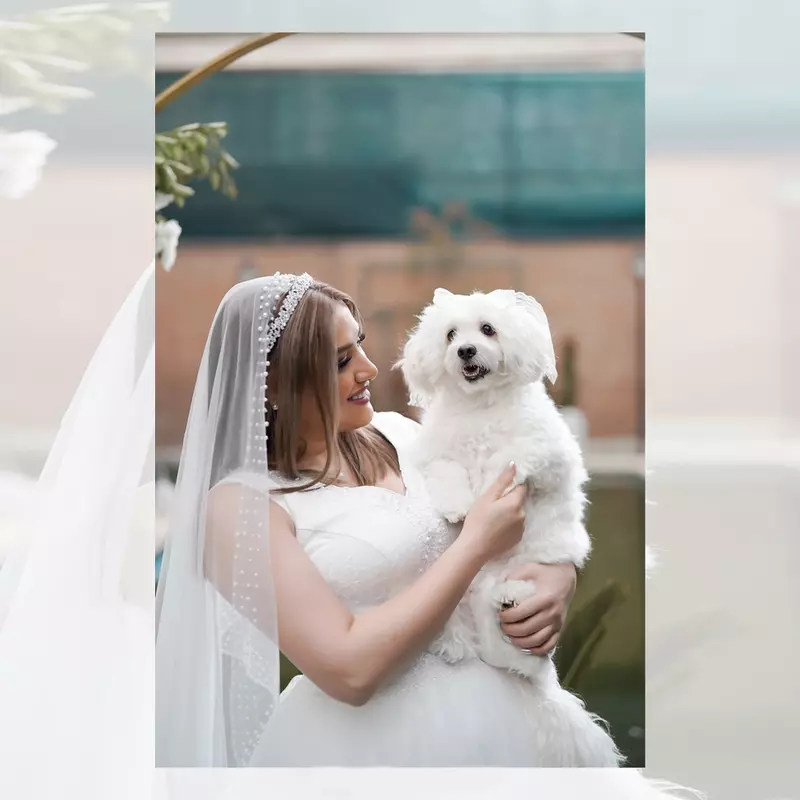 نمونه کار از بیتا, حکیم زاده