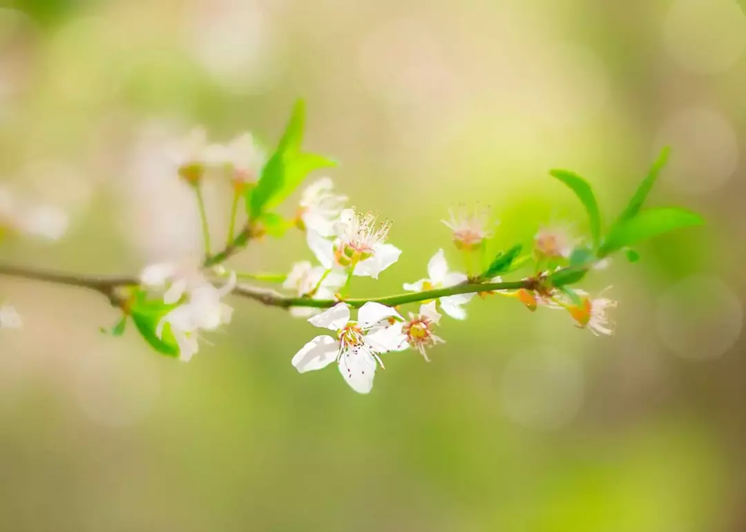 نمونه کار عکاسی ایمان ولی خانی