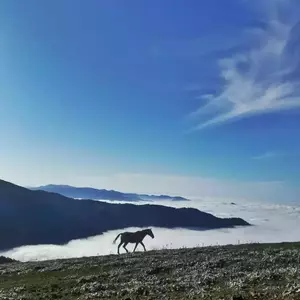 نمونه کار عکاسی مناظر توسط علیگل زاده 