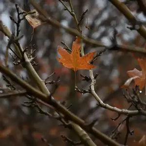 نمونه کار عکاسی مناظر توسط حنائی 