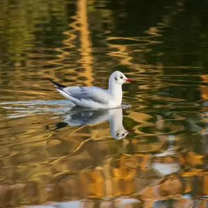 نمونه کار عکاسی مناظر توسط احمدی 