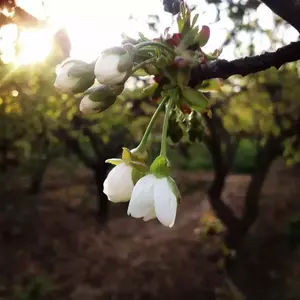 نمونه کار عکاسی مناظر توسط جلیلوند 