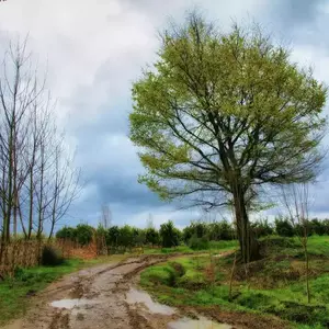 نمونه کار عکاسی مناظر توسط سیاح گرجی 