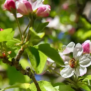 نمونه کار عکاسی مناظر توسط سیاح گرجی 