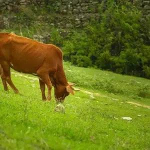 نمونه کار عکاسی مناظر توسط کاظمی 