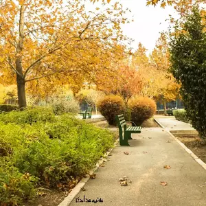 نمونه کار عکاسی مناظر توسط حدادی 