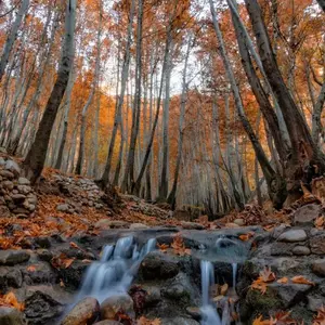 نمونه کار عکاسی مناظر توسط کاظمی 