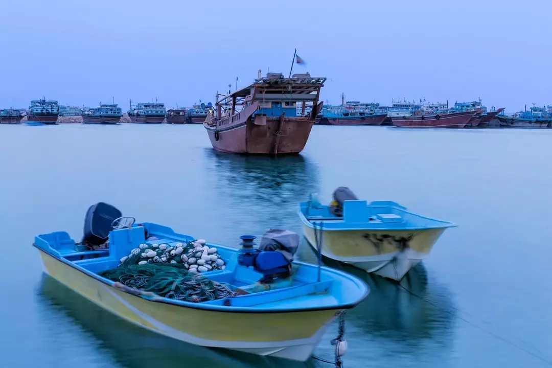 نمونه کار عکاسی محمد  کاظمی