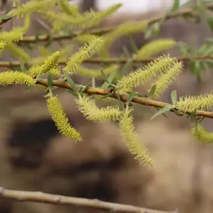 نمونه کار عکاسی مناظر توسط رسولی 