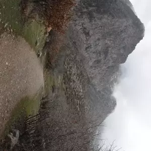 نمونه کار عکاسی مناظر توسط هاشمی فر 