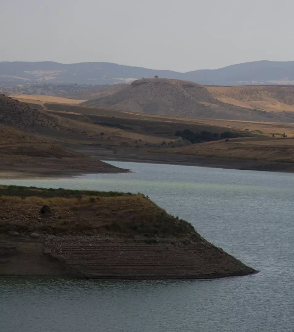 نمونه کار عکاسی سارینا هاشمی فر