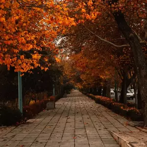 نمونه کار عکاسی مناظر توسط عطایی 