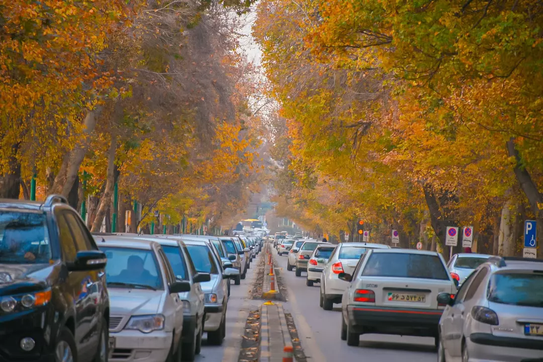 نمونه کار عکاسی فرزانه عطایی