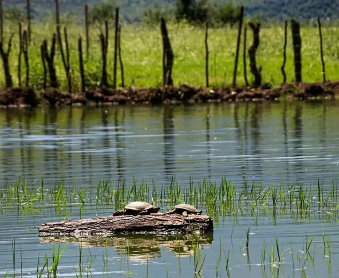 نمونه کار عکاسی محمدرضا نیکجو