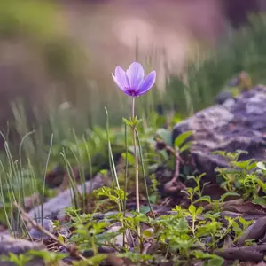 نمونه کار عکاسی مناظر توسط فرشیدفر 