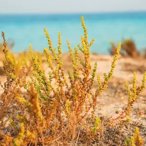 نمونه کار عکاسی مناظر توسط سطوت منش 