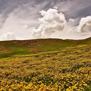 نمونه کار عکاسی مناظر توسط اردلان یکتا 