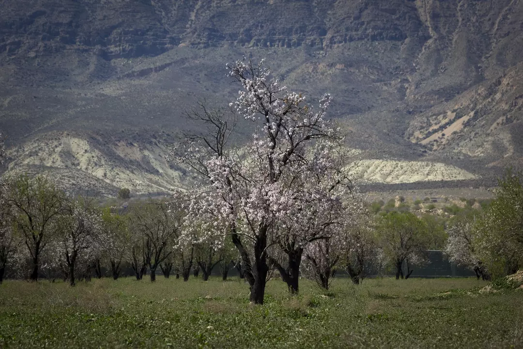 نمونه کار عکاسی فاطمه  نهاری