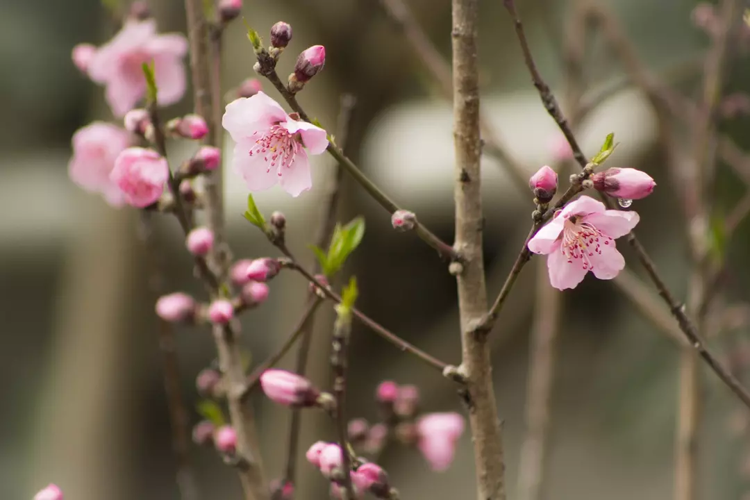 نمونه کار عکاسی فاطمه  نهاری