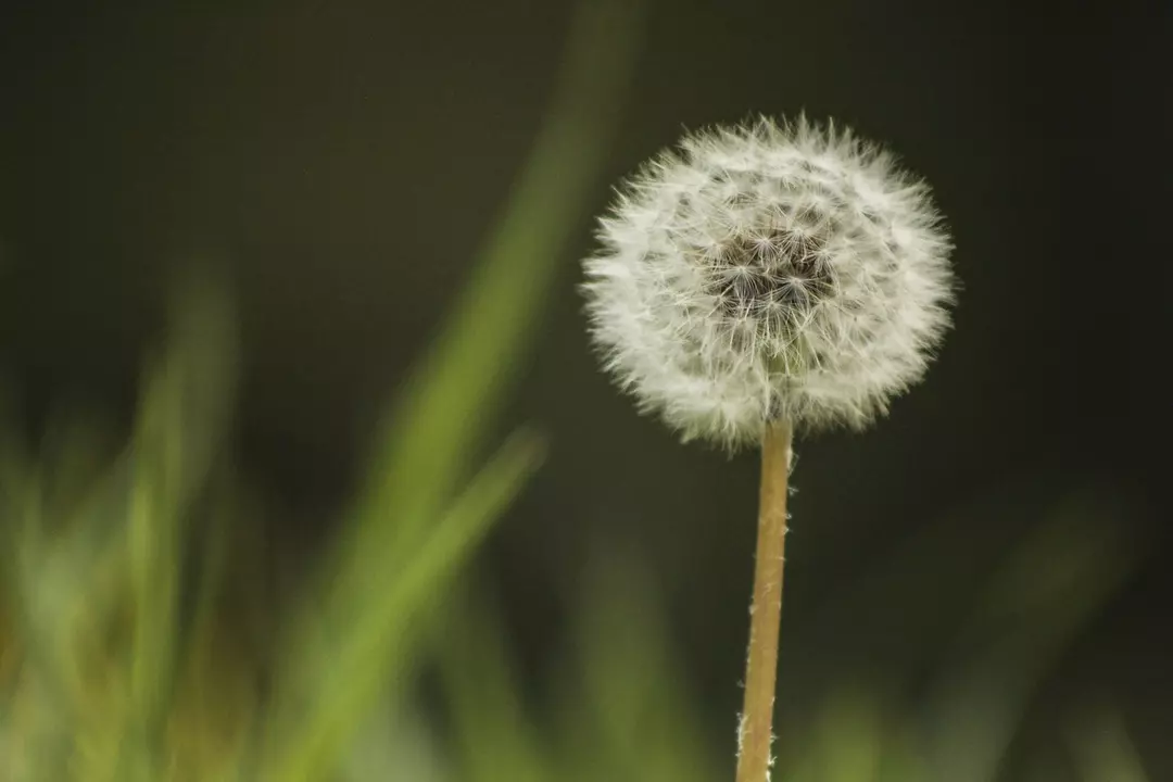 نمونه کار عکاسی فاطمه  نهاری