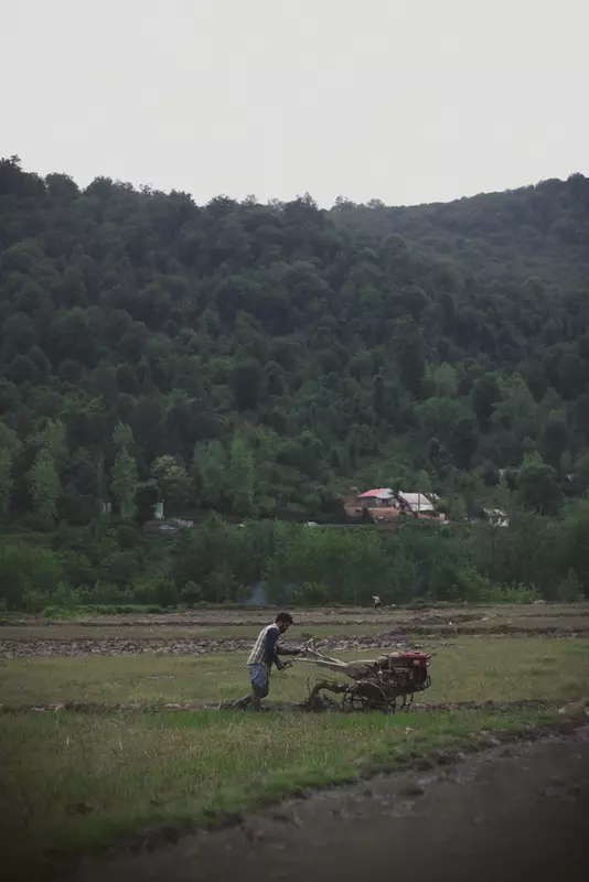 نمونه کار عکاسی عماد  انصاری 