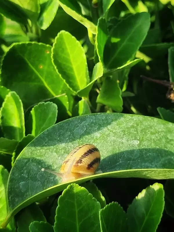 نمونه کار عکاسی فروغ سلطانیان