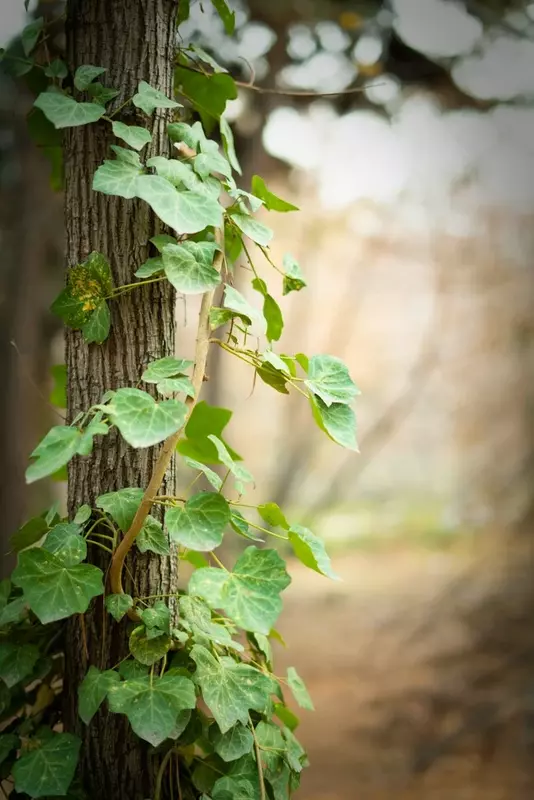 نمونه کار عکاسی حمیدرضا شفیع خانی