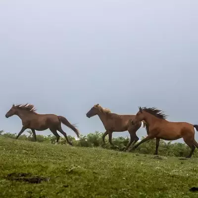 نمونه کار عکاسی مناظر توسط کاراندیش 