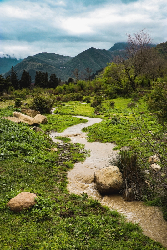 نمونه کار عکاسی محمدرضا نیکجو