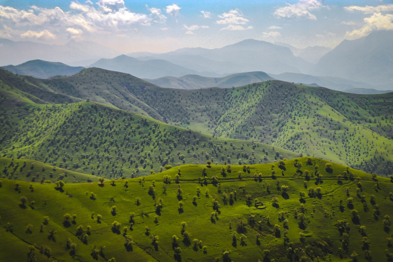 نمونه کار عکاسی محمدرضا نیکجو