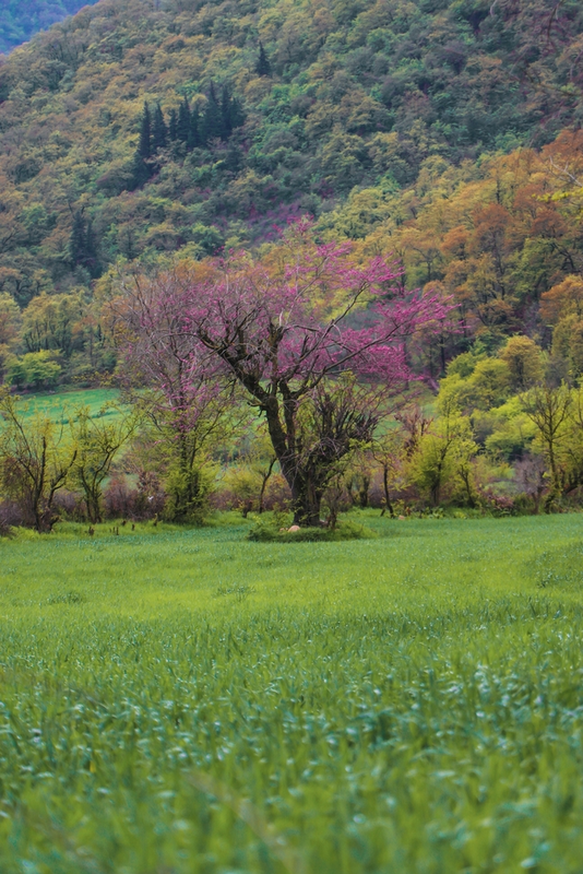 نمونه کار عکاسی محمدرضا نیکجو