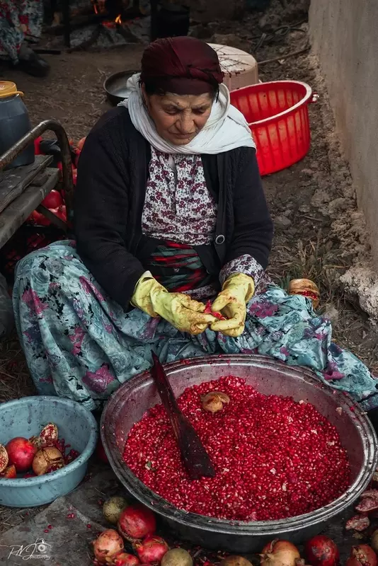 نمونه کار عکاسی محمدرضا نیکجو