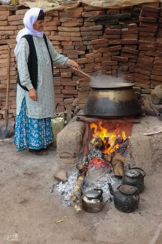 نمونه کار عکاسی محمدرضا نیکجو