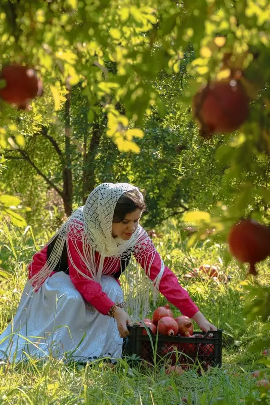 نمونه کار عکاسی محمدرضا نیکجو