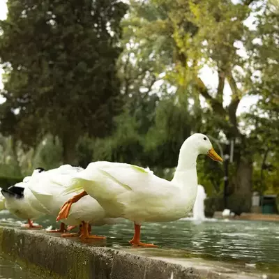 نمونه کار عکاسی مناظر توسط کرمی 