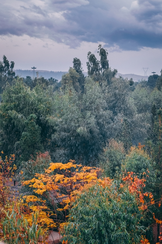 نمونه کار عکاسی علیرضا بهجت پور