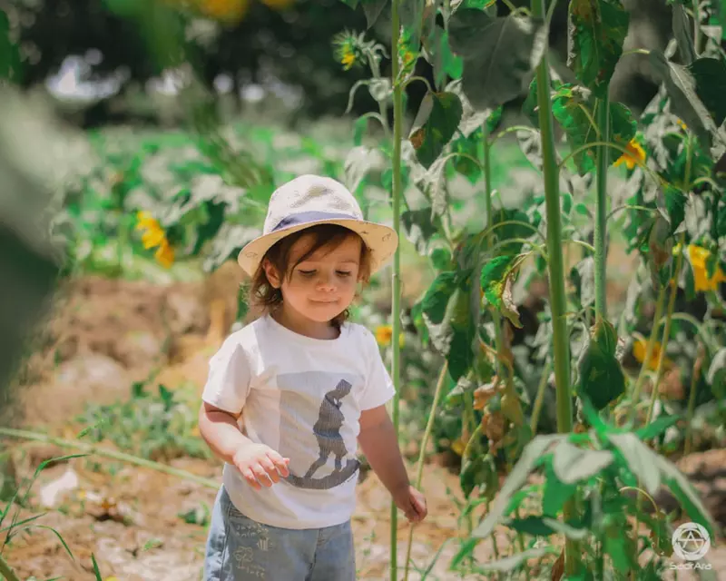 نمونه کار عکاسی محمدامین صدرآرا