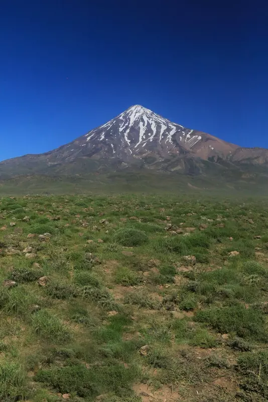 نمونه کار عکاسی محمد  احمدی فاخر