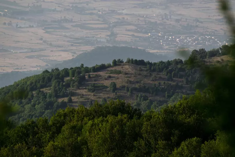 نمونه کار عکاسی سیدمحمدجواد  بنی هاشمی