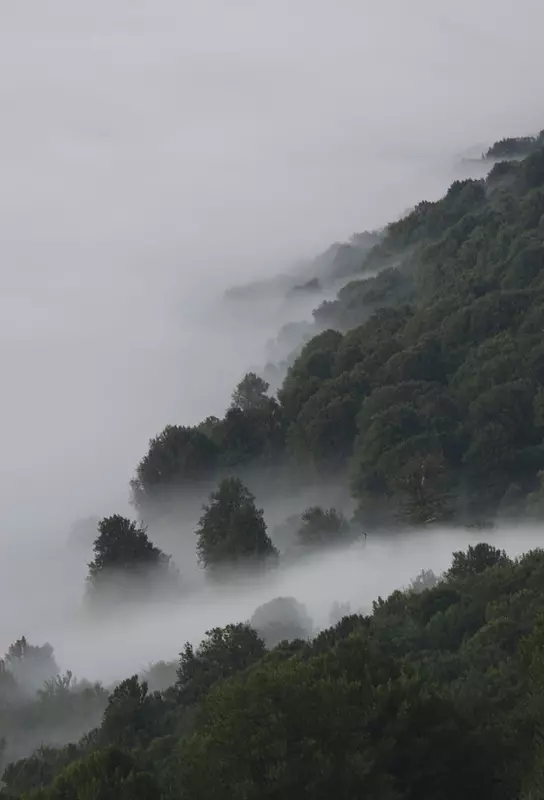 نمونه کار عکاسی سیدمحمدجواد  بنی هاشمی