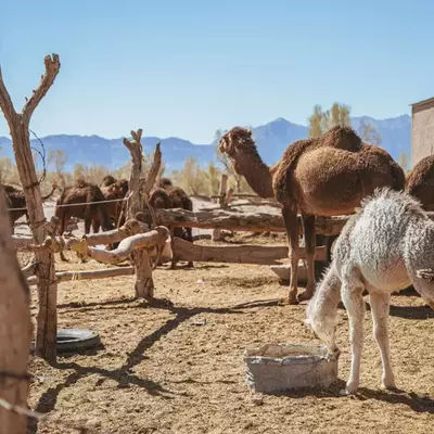 نمونه کار عکاسی مناظر توسط بنی هاشمی 