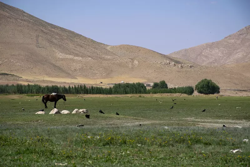 نمونه کار عکاسی محمدرضا کریمی راد