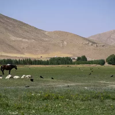 نمونه کار عکاسی مناظر توسط کریمی راد 