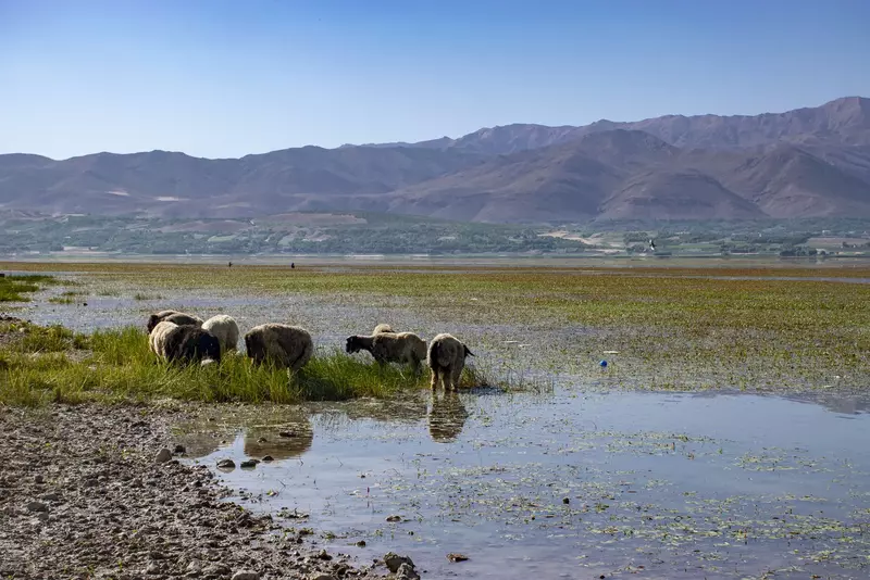 نمونه کار عکاسی محمدرضا کریمی راد