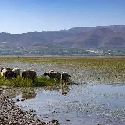 نمونه کار عکاسی مناظر توسط کریمی راد 