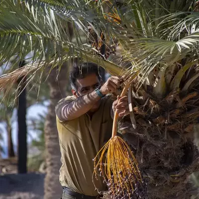 نمونه کار عکاسی سفر و گردشگری توسط کریمی راد 