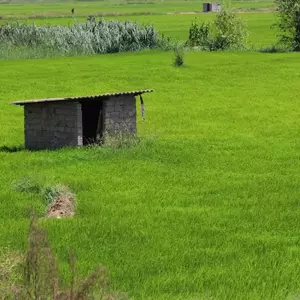 نمونه کار عکاسی مناظر توسط زمانی 