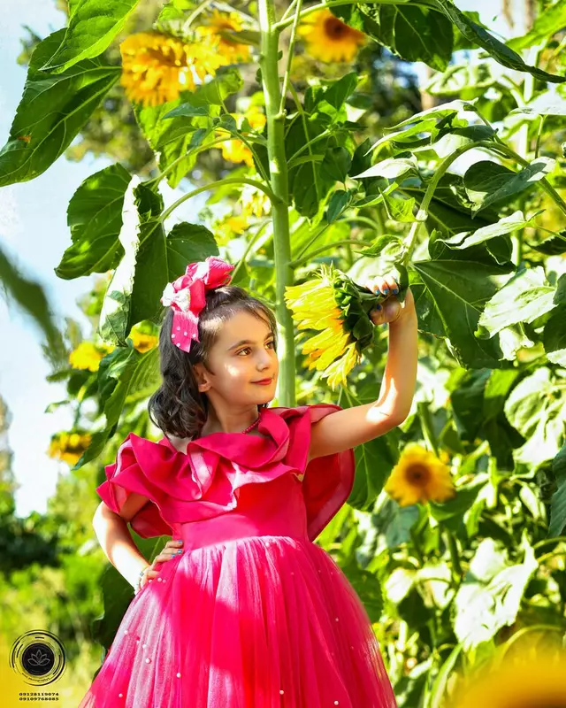 نمونه کار عکاسی نیلوفر صفرخانی