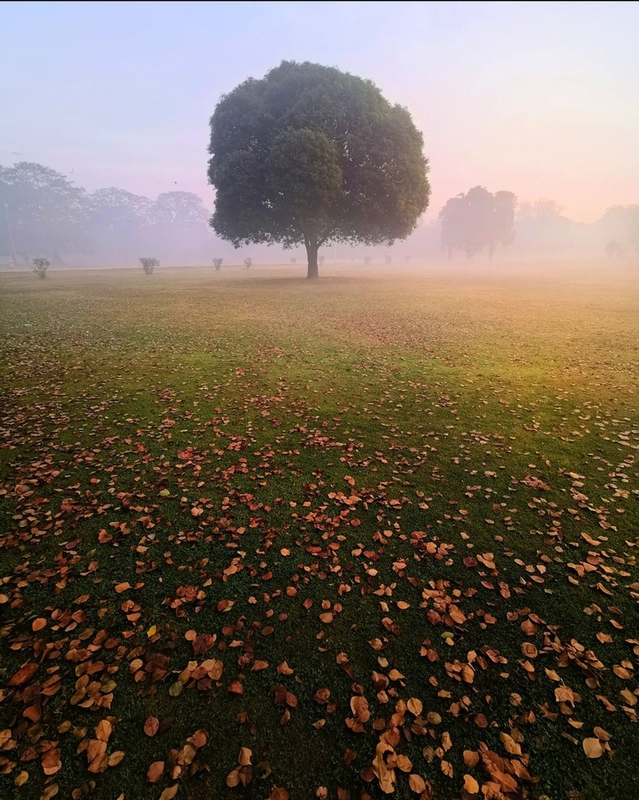 نمونه کار عکاسی حسین نادری