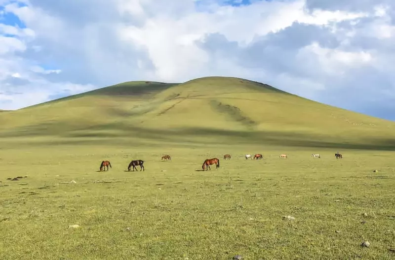 نمونه کار عکاسی حسین نادری